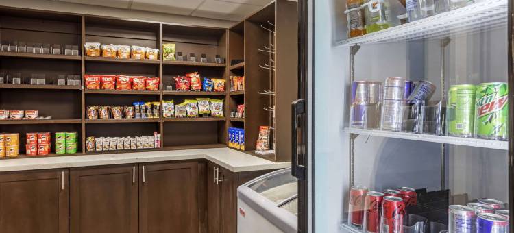 舒适酒店达拉斯北爱情机场(Comfort Inn Dallas North Love Field Airport)图片