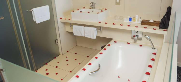 马普托-丽笙蓝标酒店及公寓(Radisson Blu Hotel and Residence Maputo)图片