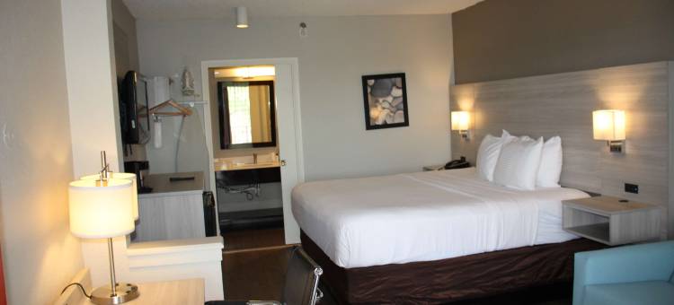 迪尔菲尔德海滩博卡套房酒店 - 贝斯特韦斯特必住精选酒店(Boca Suites Deerfield Beach, SureStay Collection by BW)图片