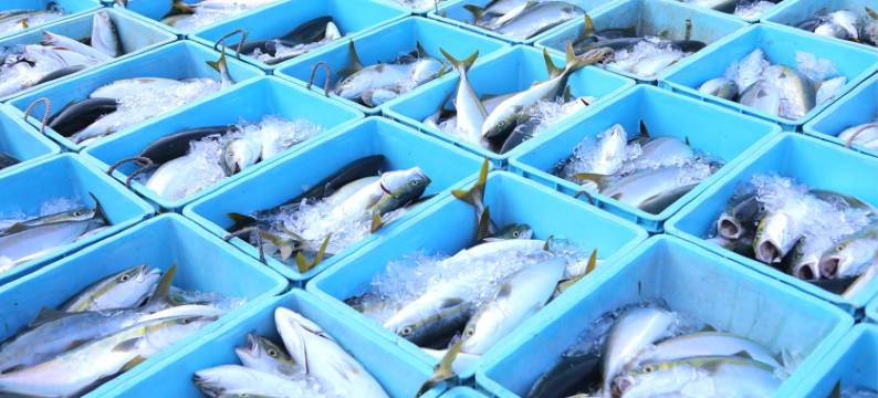 松林民宿(Minsyuku Matsubayashi)图片