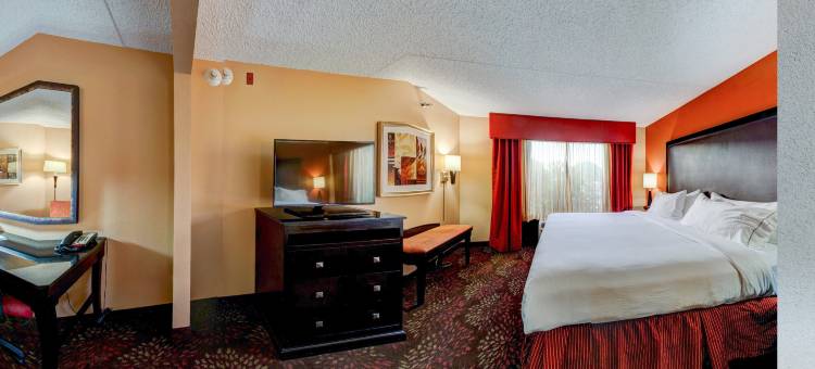 智选假日套房酒店泰勒南(Holiday Inn Express & Suites Tyler South)图片