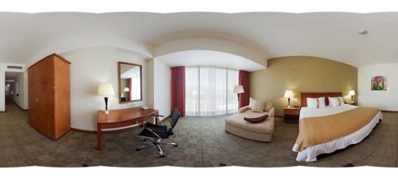 伊拉普阿托假日酒店(Holiday Inn IRAPUATO by IHG)图片