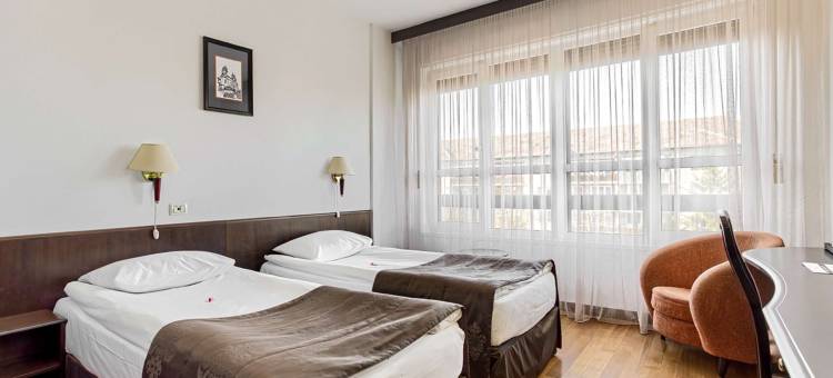 阿拉德中心贝斯特韦斯特酒店(Best Western Central Hotel Arad)图片