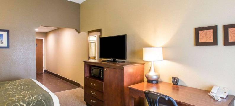 库克维尔舒适套房酒店(Comfort Suites Cookeville)图片