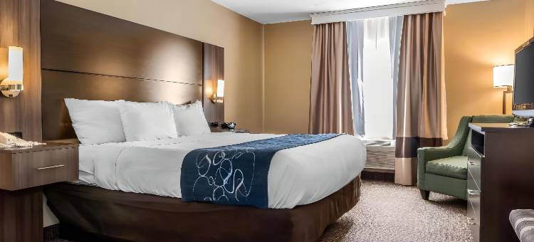 迈阿密斯堡-南代顿舒适全套房酒店(Comfort Suites Miamisburg - Dayton South)图片