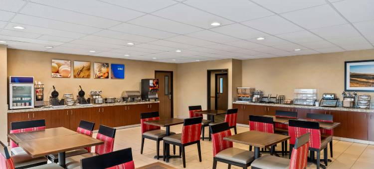 舒适套房酒店(Comfort Inn & Suites)图片