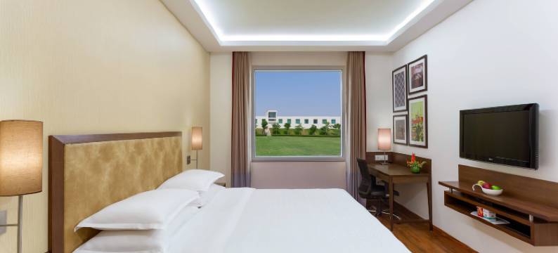 新德里机场大道福朋喜来登酒店(Four Points by Sheraton New Delhi, Airport Highway)图片