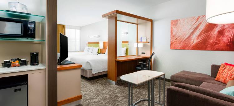 圣迭戈米申谷SpringHill Suites酒店(SpringHill Suites San Diego Mission Valley)图片
