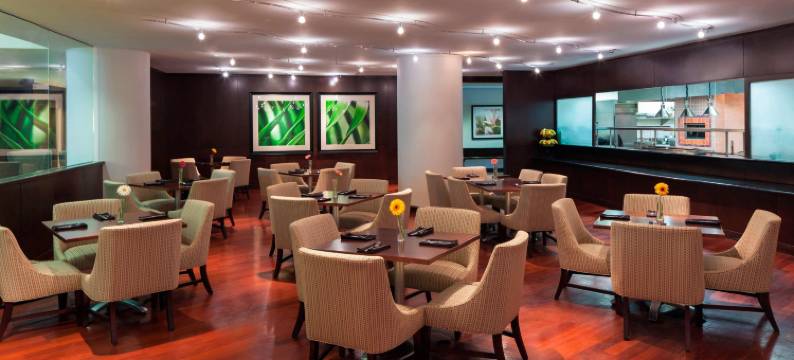 梅泰里新奥尔良喜来登酒店(Sheraton Metairie - New Orleans Hotel)图片