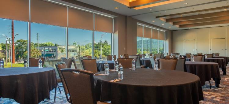 阿什维尔市中心希尔顿逸林酒店(DoubleTree by Hilton Asheville Downtown)图片