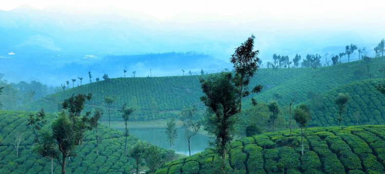 湖区假日度假村(Lakezone Holiday Resort)图片