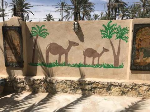 Peaceful Winter Retreat in Siwa Digital Detox with Private Garden