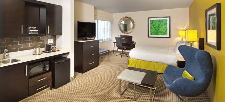 新斯科舍哈里法克斯霍里斯希尔顿逸林酒店(The Hollis Halifax - a DoubleTree Suites by Hilton)图片