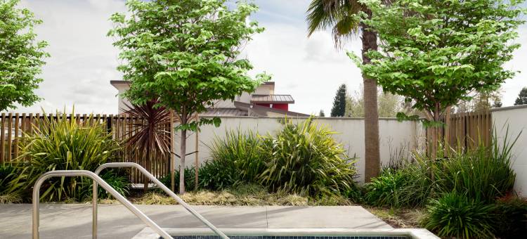 索诺马葡萄酒乡中心酒店-希尔顿启缤精选酒店(Hotel Centro Sonoma Wine Country, Tapestry by Hilton)图片