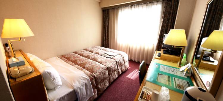 Palace Inn丰田酒店(Palace Inn Toyota)图片