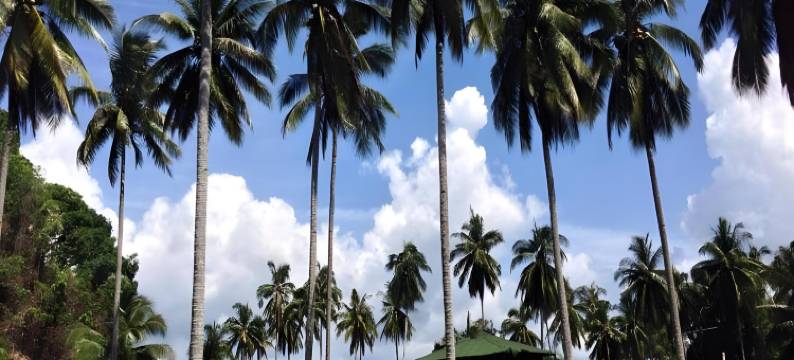 钓鱼湾度假村(Fishing Bay Resort)图片