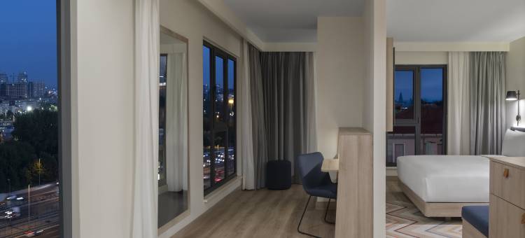 伊斯坦布尔默特尔希尔顿欢朋酒店(Hampton by Hilton Istanbul Merter)图片