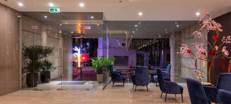 日河豪华酒店(NHAT HA LAVISH HOTEL)图片