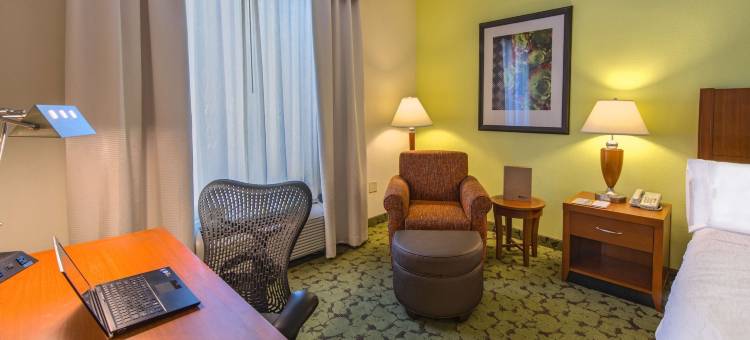 塔拉哈西中央希尔顿花园酒店(Hilton Garden Inn Tallahassee Central)图片