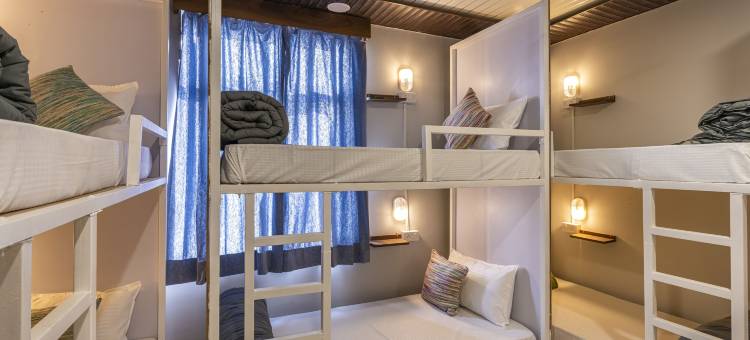 麦德帕克斯齐普尔(Madpackers Jaipur)图片