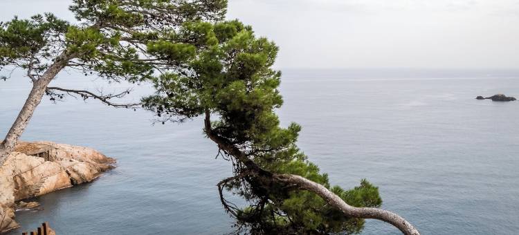 BYPILLOW Cap Sa Sal酒店(Bypillow Cap Sa SAL)图片