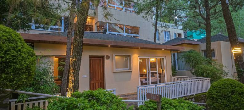 丛林小屋(Jungle Lodge Resort)图片