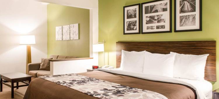 梅泰里舒眠套房旅馆(Sleep Inn & Suites)图片