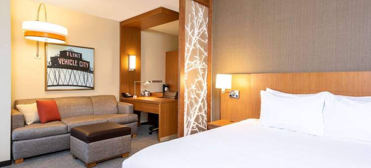 凯悦嘉轩弗林特 - 格兰布朗酒店(Hyatt Place Flint/Grand Blanc)图片