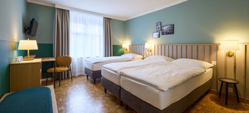 利马索夫酒店(Hotel Limmathof)图片