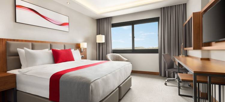 伊兹密尔阿利阿温德姆华美达酒店(Ramada by Wyndham Izmir Aliaga)图片