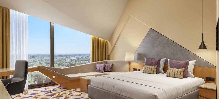 新德里德瓦卡维万塔酒店(Vivanta New Delhi, Dwarka)图片