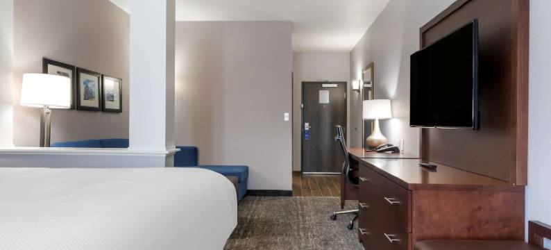 帕迪尤卡购物中心区舒适套房酒店(Comfort Suites Paducah Mall Area)图片