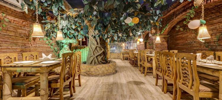 特雷布梦幻岛旅馆(Treebo Dreamland Guest House)图片