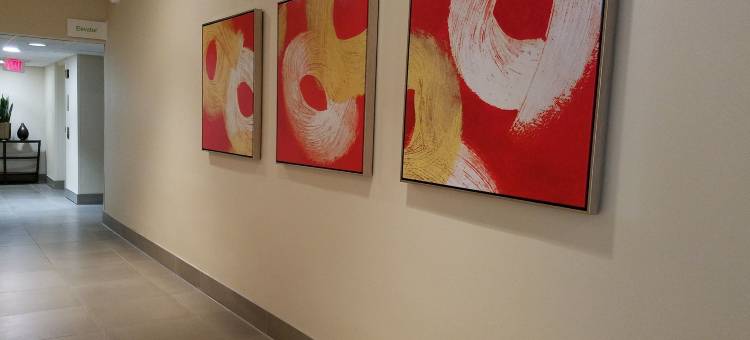 洲际酒店集团欧文拉斯科利纳斯假日酒店(Holiday Inn Irving - Las Colinas)图片