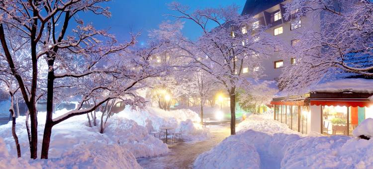 草津现代度假酒店(Kusatsu Now Resort Hotel)图片
