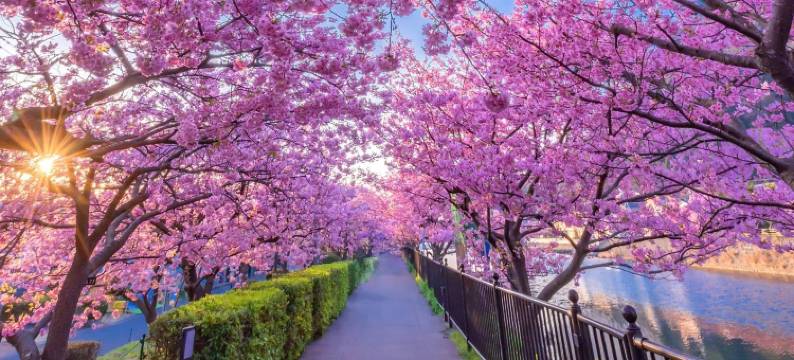 伊豆今井滨东急酒店(Izu Imaihama Tokyu Hotel)图片