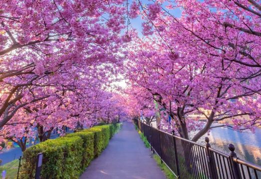 Izu Imaihama Tokyu HotelHotel Overview