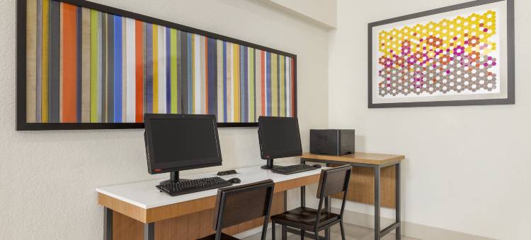 智选假日套房酒店萨拉索塔(Holiday Inn Express & Suites Sarasota East - I-75)图片