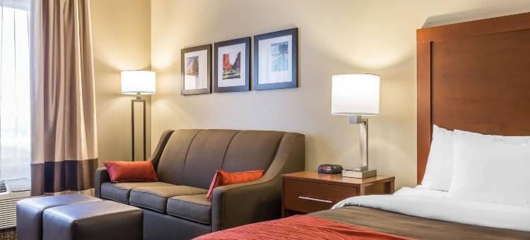 舒适酒店(Comfort Inn)图片