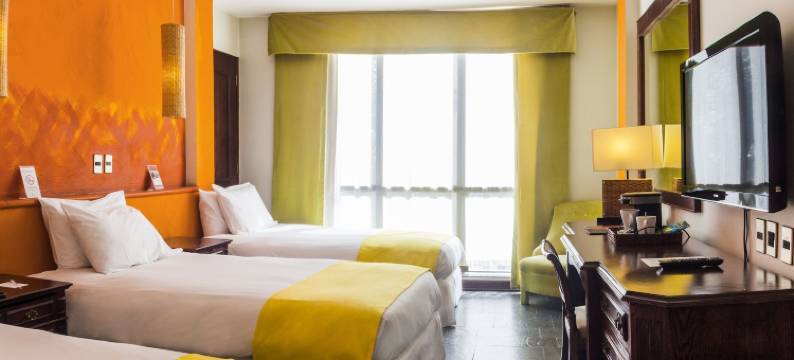 蓝树创始人酒店(Hotel Fundador)图片