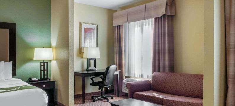 斯莱德尔品质套房酒店(Quality Inn & Suites Slidell)图片