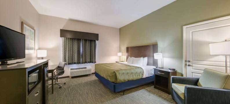 阿德莫尔品质酒店及套房(Quality Inn & Suites)图片