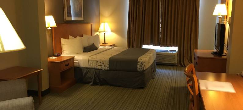 库恩拉匹兹蔚景温德姆酒店(Wingate by Wyndham Coon Rapids)图片