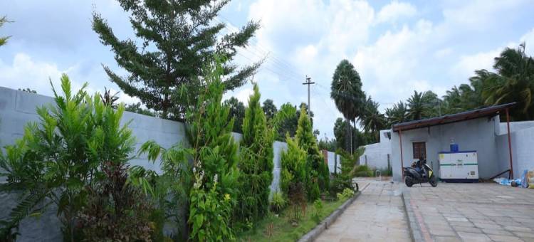 运河旅馆(The Canalway Inn)图片