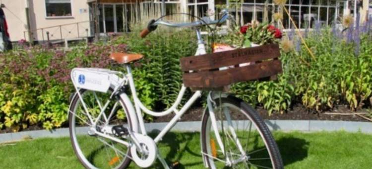 斯梅德扬家园酒店(Home Hotel Smedjan)图片