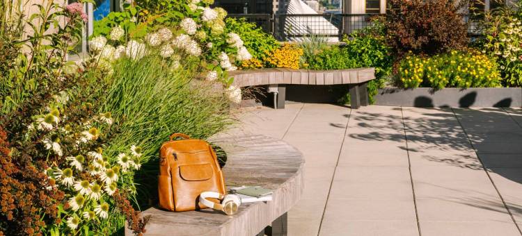 17 约翰(17John)图片