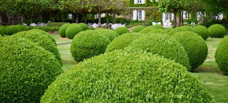 长者之家酒店(Le Vieux Logis)图片