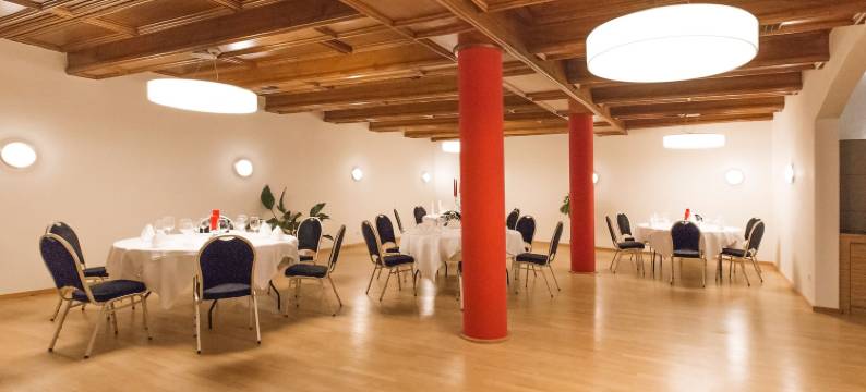 维连根-宪汶宁多梅洛酒店(Dormero Hotel Villingen-Schwenningen)图片