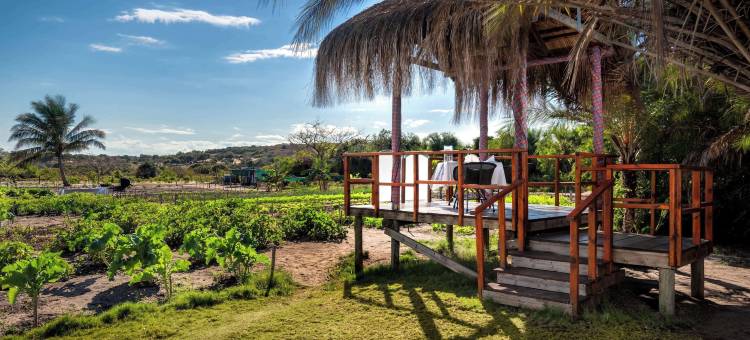 巴扎鲁托岛安纳塔拉度假酒店(Anantara Bazaruto Island Resort)图片