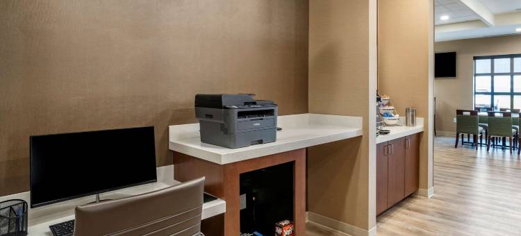 舒适套房酒店(Comfort Inn & Suites)图片